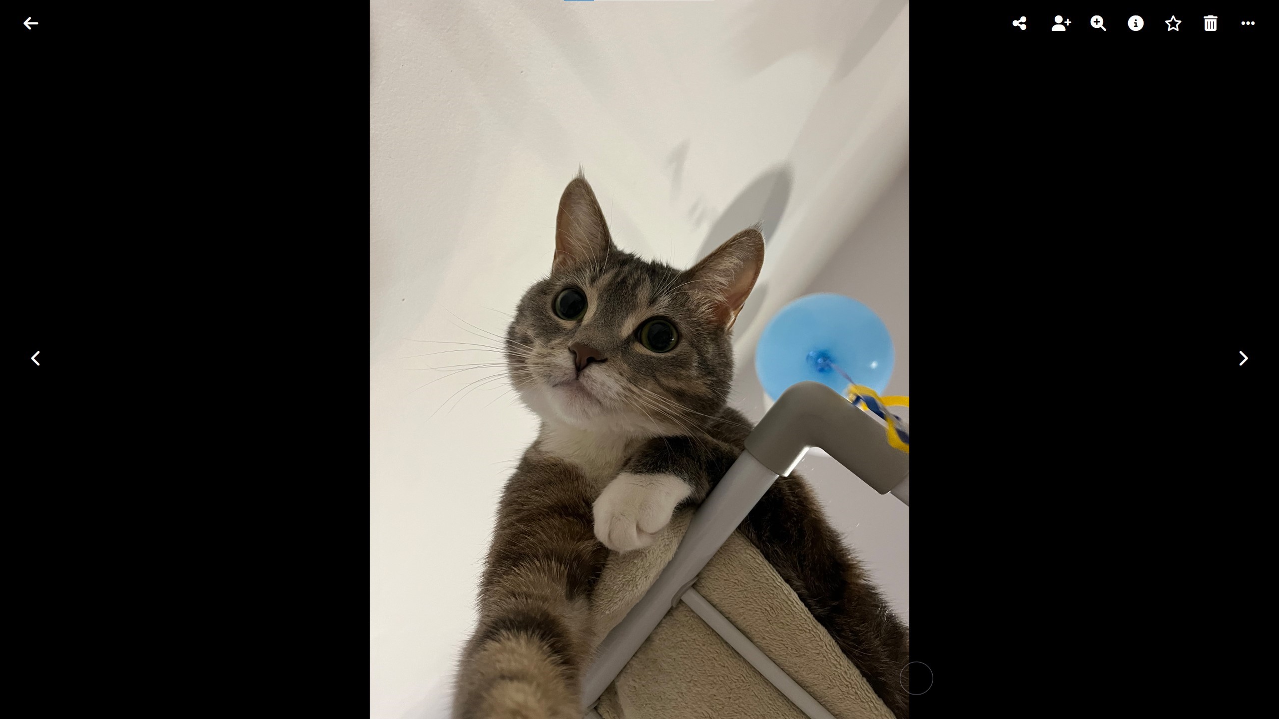 Megatech photos screenshot 2