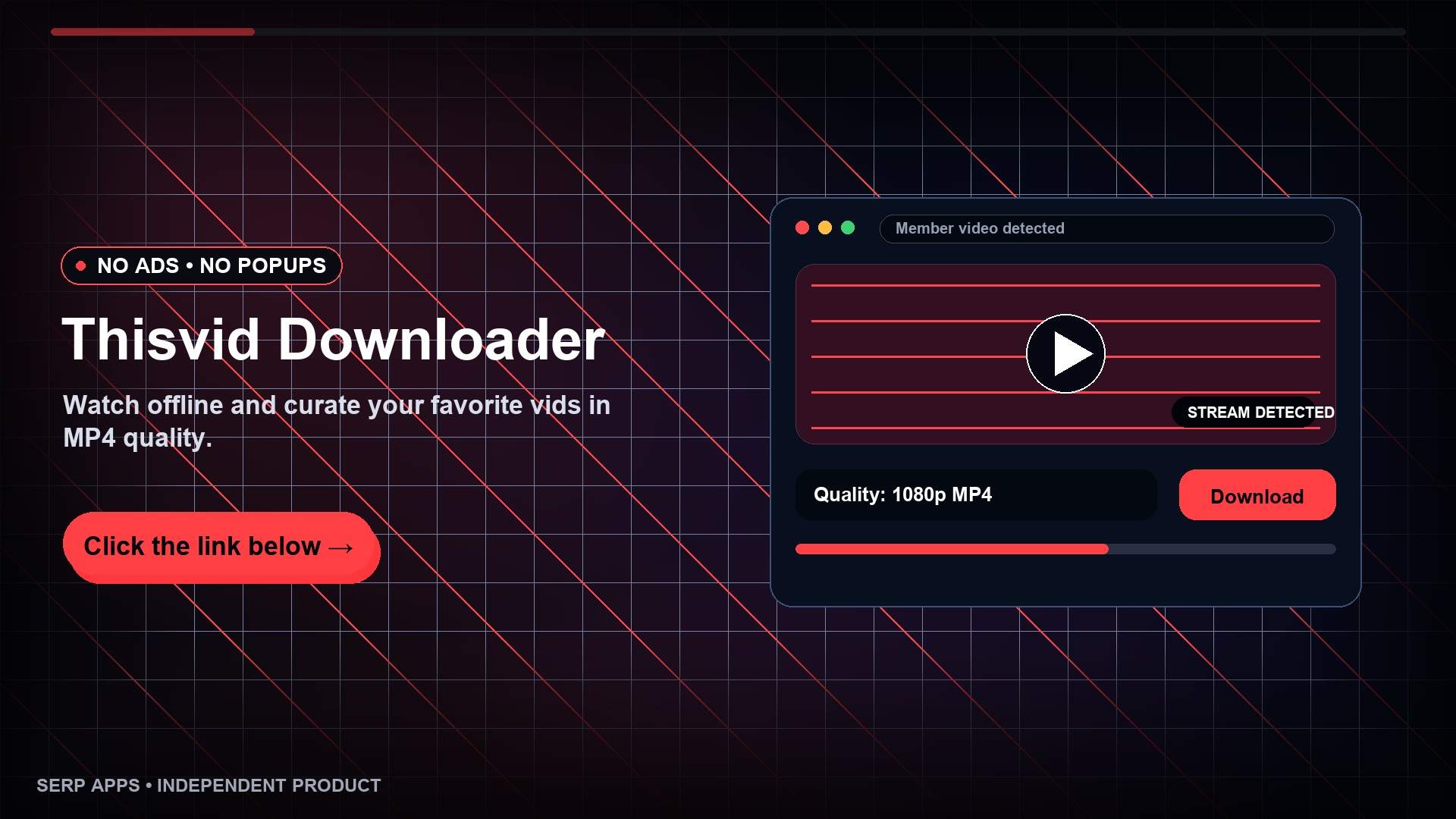 ThisVid Video Downloader screenshot 1