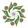 anvitam